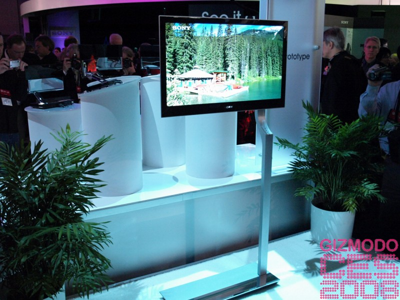 Illustration for article titled Sony 27-inch OLED Prototype Gallery
